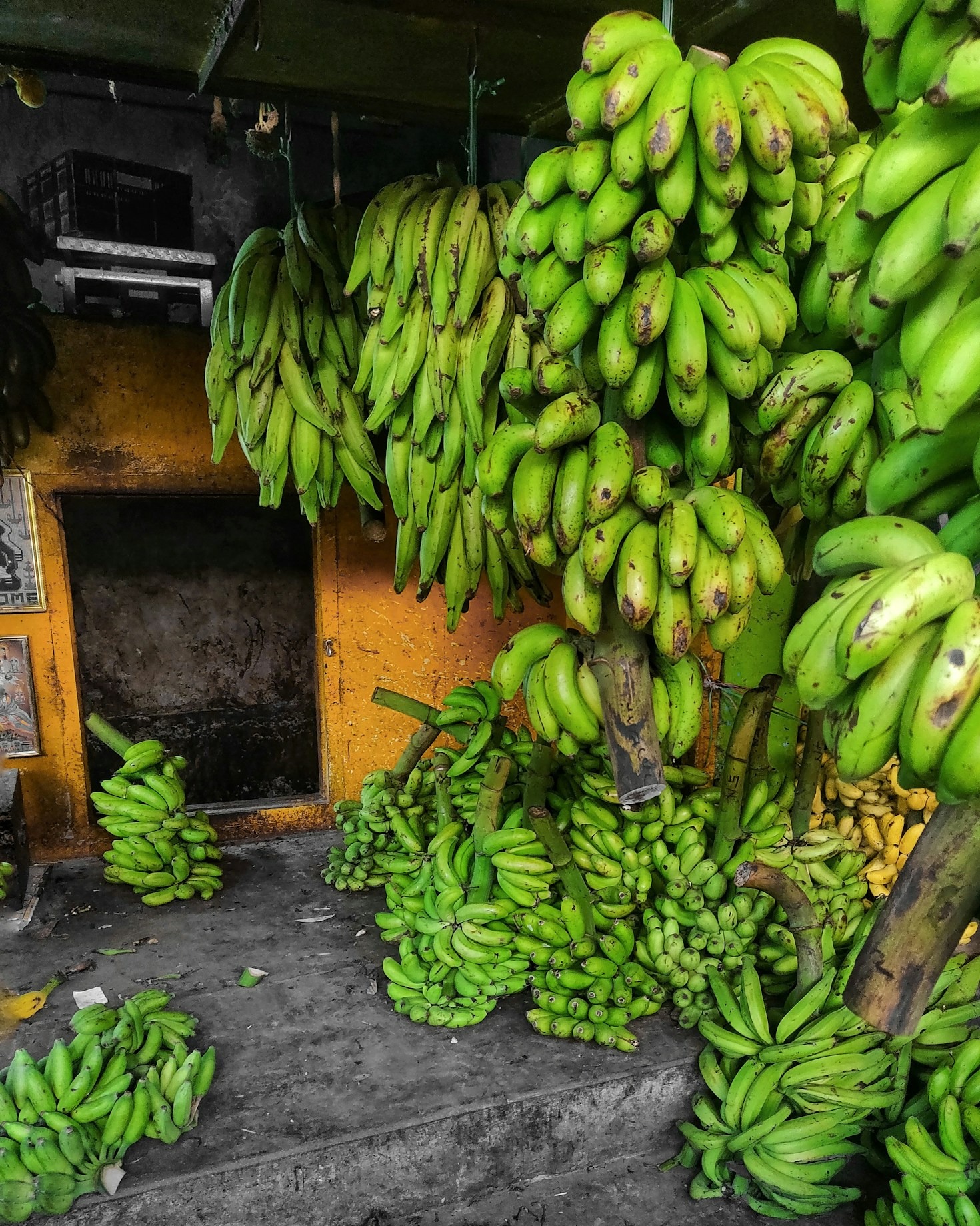 Why Plantain Chips Are The Ultimate Snack
